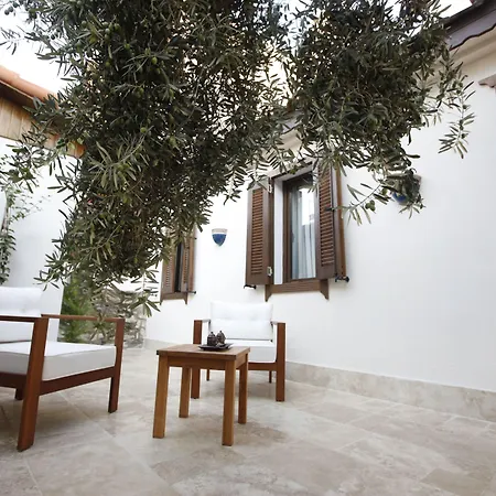 Livia Ephesus (adults Only)